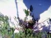000362550073-small