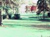 000362560090-small