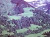 000362440126-small