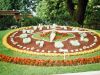 000362530021-small